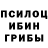 Галлюциногенные грибы прущие грибы Julia Solomina