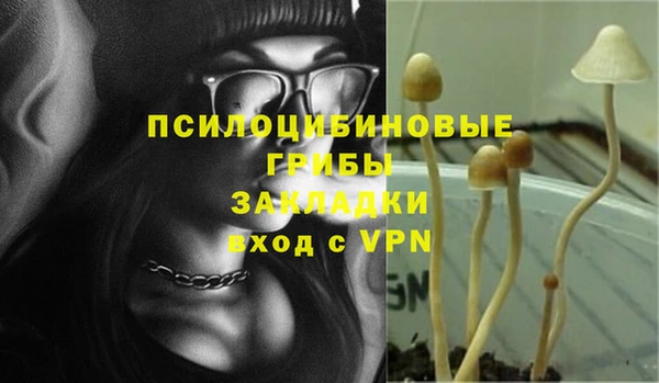 тгк Алзамай