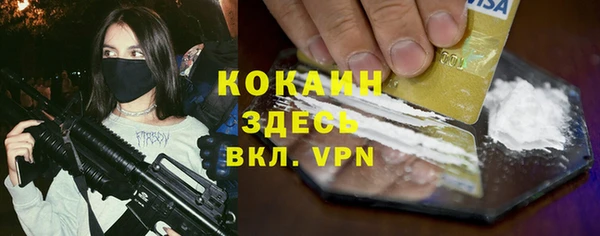 тгк Алзамай