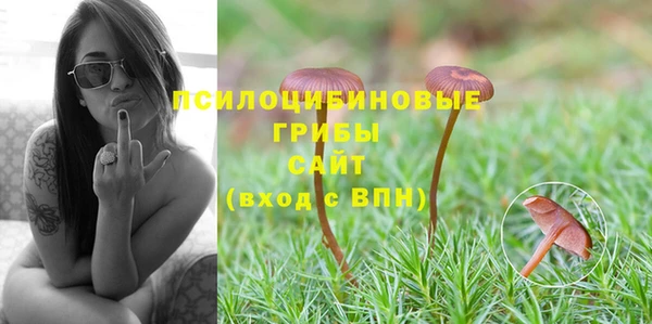 тгк Алзамай